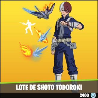 Lote de Shoto Todoroki
